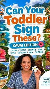 8 Easy ASL Signs for Babies & Toddlers | Ocean, Turtle, Bird & More