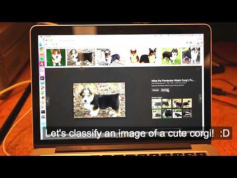 Eyeriss: Deep Neural Network Accelerator (Caffe Demo - ISSCC 2016)