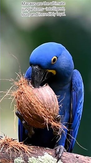 AI is used to convert picture into video