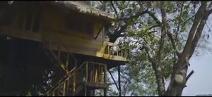 Discover the last virging paradise of cambodia. Explore Koh Rong! Special Offer May 2018 only with Speed Ferry Cambodia www.speedferrycambodia.com | Speed Ferry Cambodia