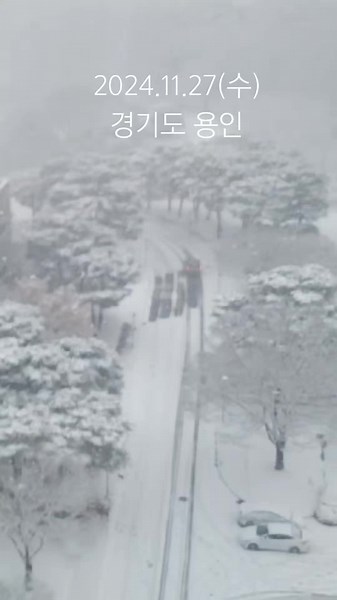 2024.11.27(수) 경기도 용인 첫눈 대박 많이 옴 ㅠㅠ #첫눈 #경기도 #용인