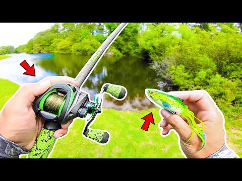 FROG Fishing SMALL Ponds (Bank Fishing)