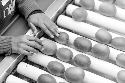 Work With Us | DMS Progrowers