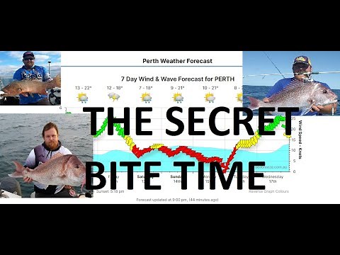 when is the best time to go fishing - how to understand peak bite times - lunar, tides, weather