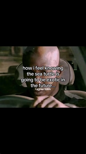 it just doesnt fit the style and its like another alley cat 🐢 | i wish i could get one but the stupid uk law wont let me… ib: myself #fyp #seaturtle #turtle #adoptme #exotic