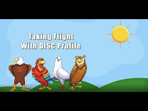 Taking Flight With DISC Profile