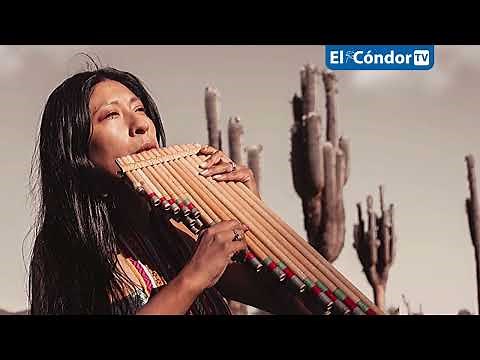 Wind instruments in Andean music and their relationship with nature