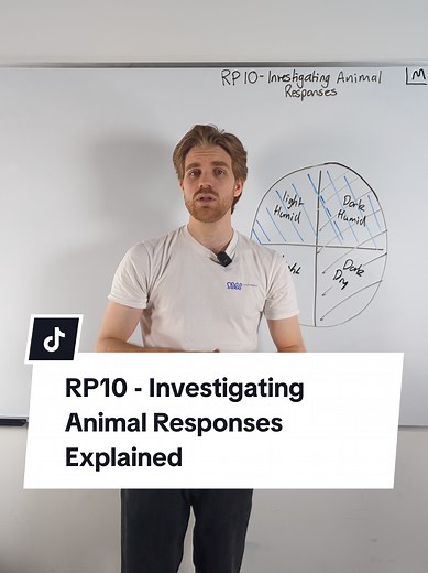 RP10 - Investigating Animal Responses Explained #alevels #alevels2025 #biologyteacher #biologytutor #alevelbiology #exam #biologystudent #alevels2024 #examseason #alevelbiologyrevision #biology #fyp #alevels #stem #stemtok #joedoesbiology #myedspace