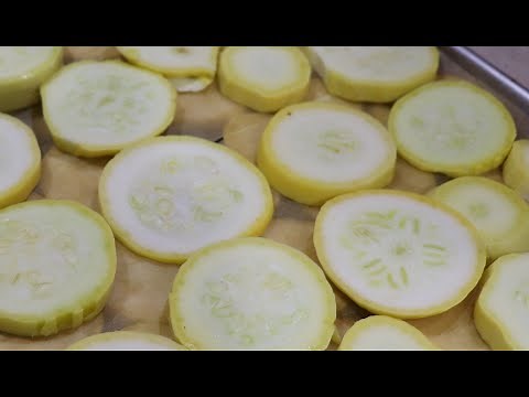 #284 Can You Freeze Dry Yellow Squah