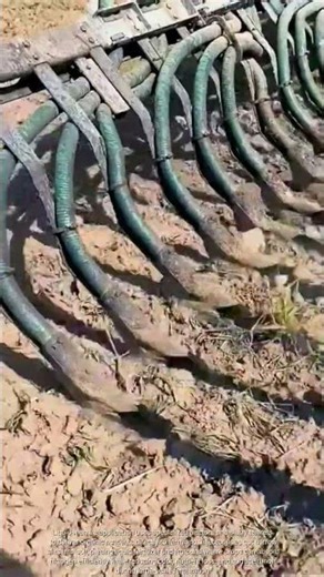 Liquid manure: Smart fertilization for sustainable farming