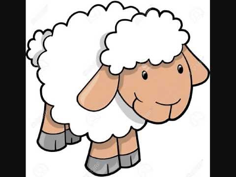 Lamb sound effect 2016 animal sounds and nosies