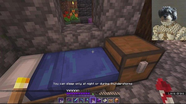 MyPuppyTeyla - Twitch