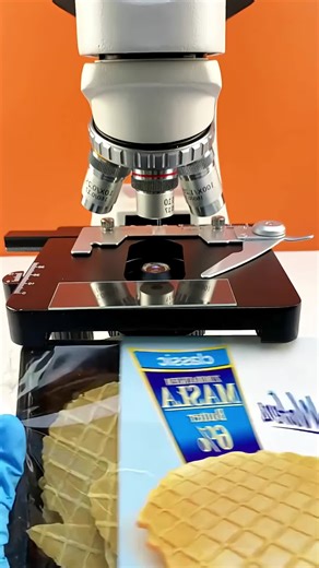 Wafer under the Microscope 🔬#Trending #science #experiments #microscope #study