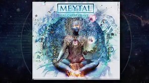 1 week until it's gone forever! 󾓶 live.meytalcohen.com | Meytal Cohen