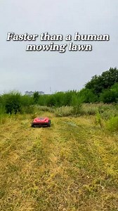 Considering stopping manual mowing and letting a robot do the job instead. | Charity Bisteroso
