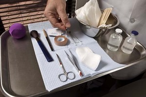 Animal Testing in the Cosmetics Industry | Ethical Consumer