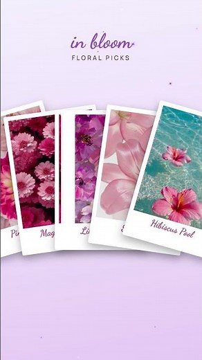 In Bloom 🩷 Preppy Wallpaper (pink & cute)