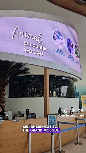 Exploring the National Aquarium in Alcana Abu Dhabi