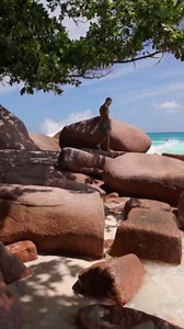 Breathtaking Seychelles travel: Crystal waters, lush landscapes & beach bliss