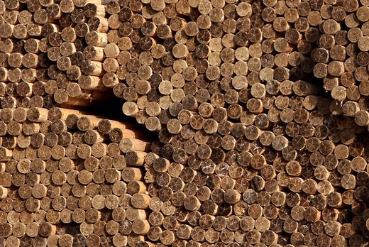 Rome Lumber Facility Investing $30 Million To Improve Efficiency And Enhance Product Quality