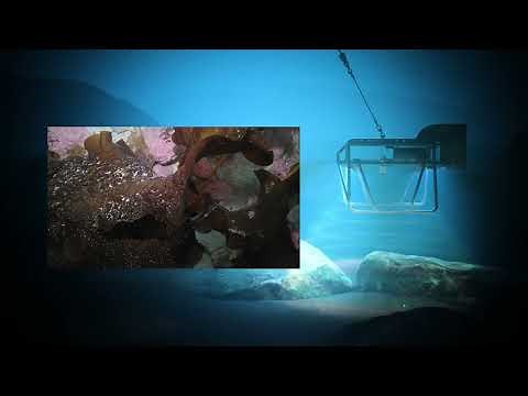 Ashtead Technology Drop Camera System