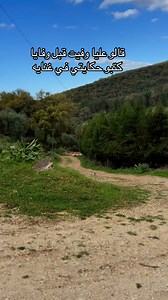 #lotfi _jormana | Amira Bensmida