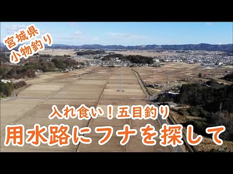 用水路にフナを探して / 宮城県・南部の用水路 / 小物釣り