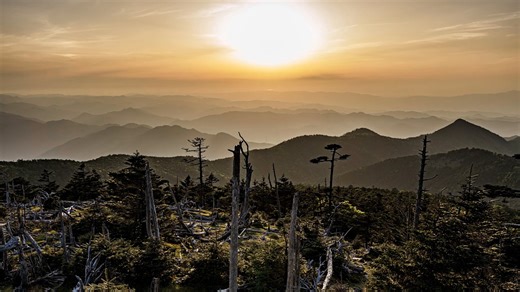 風景 夕暮れ - Free video on Pixabay