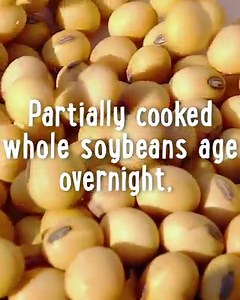 4.1M views · 47 reactions | Tempeh vs. Tofu: Vegetarian or not, you...