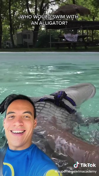 Would You Swim with an Alligator? Take a Dive into the Pool Challenge!