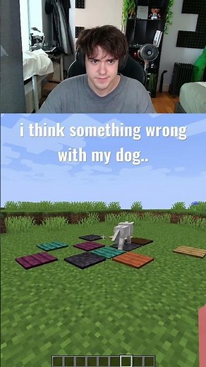 minecraft i think something wrong with my dog.. #minecraft #minecraftshorts #memes