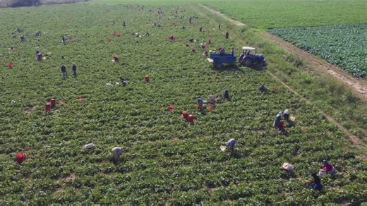 OSHA proposes federal rules to ensure safety of workers in extreme heat