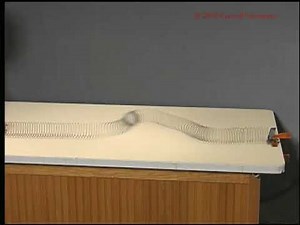 Transverse Traveling Wave on a Slinky