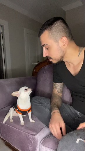 Murat Noyan TikTok'ta