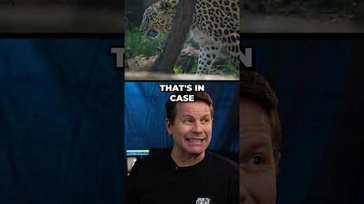 Stranded With Nothing: How People Survive Deserted Islands