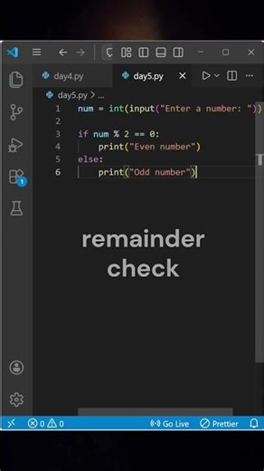 Built My First Mini Project in Python | Day 6