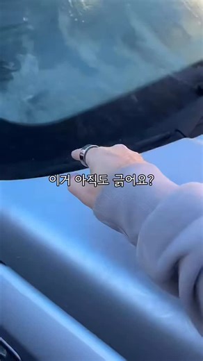 우니언니 on Instagram: "겨울만 되면 아침마다 이거 긁느라 시간 다 쓰잖아요 이거 그냥 뿌렸는데… 긁을 필요가 없어졌어요 눈 오기 전에 하나만 준비해두세요 ❄️"