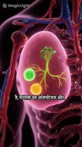 HOW DEVELOP CANCER CELL IN BODY