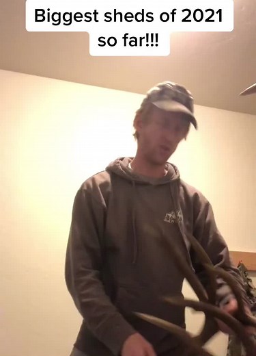 Let’s see some sheds 💪💪💪 #stuckntherut #shedhunt #montana #shedhunting #muledeer #antlers #bigbuck #publicland