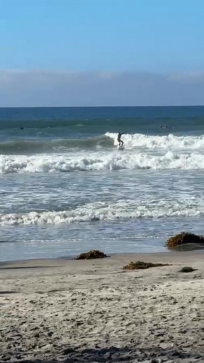 Dave Langer on Instagram