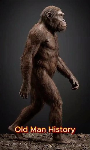 The Evolution of Man #history