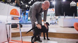 644K views · 952 shares | WATCH: Charlie wishes his best pal, Matt, a happy birthday! | Today Show | Facebook