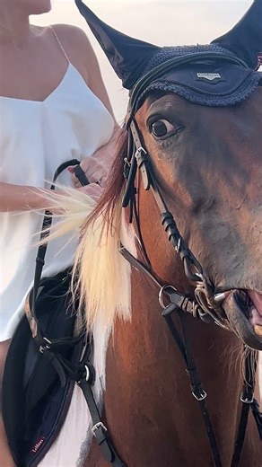 Jusmin horse riding bangtao beach phuket thailand🇹🇭🇹🇭🇹🇭 #horse #horsetrack #horseriding