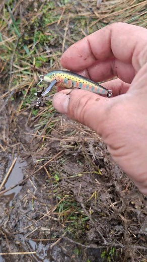 19K views · 150 reactions | A quien se le perdió esta belleza jjj | Pesca y Camping en alta Montaña 'FAMILY' | Facebook