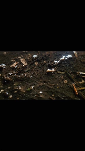 jnich197 (@jnich1024)’s videos with Little Do You Know Beat Cry (Slowed Version) - Yagih Mael