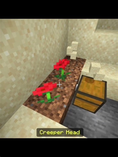 Didn't Creeper Just Blow Up? 🤨 #shorts #minecraft