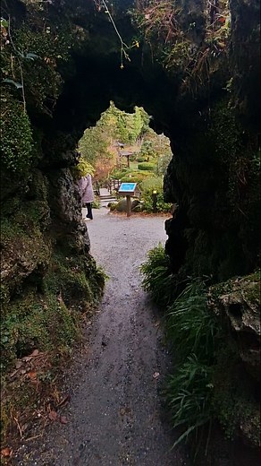The japanese gardens in the powerscourt house and gardens estate. Only a 40 minute drive from dublin and 10.50€ entry per person | John Casey