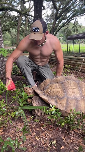 235K views · 7.9K reactions | Meet Jumanji, our newest rescue!! He’s...