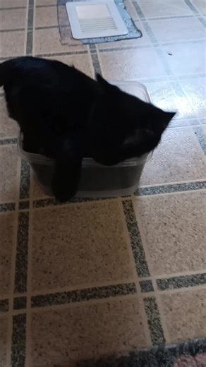 #Henry full video of playing in