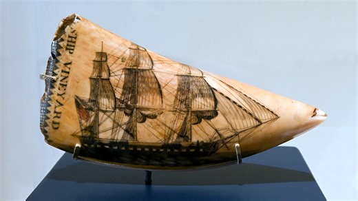 Art from the sea: Cahoon museum assembles giant exhibit of rare whalers' scrimshaw